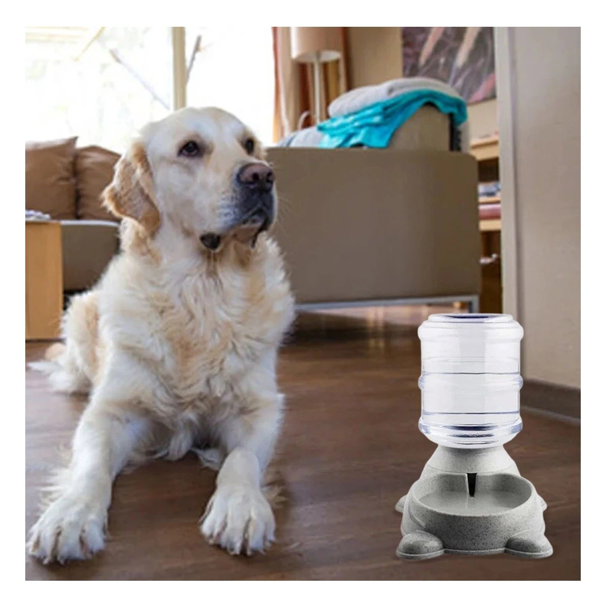 PACK4 ESTRUCTURA DE AGUA PARA PERRO CIRCULAR CON BIDON DE PLASTICO PLOMO Y+PAPEL REGALO - 5