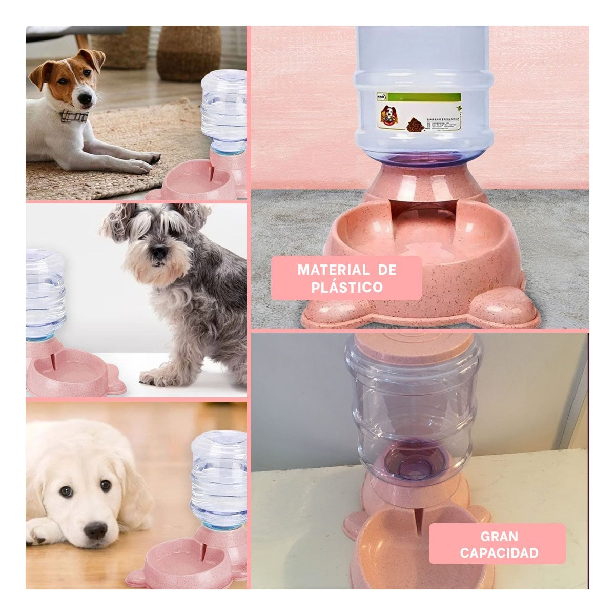 PACK4 SET COMPLETO PARA PERRO PLOMO CIRCULAR CON BIDON PLASTICO ROSADO Y+REGALO STICKER - 2