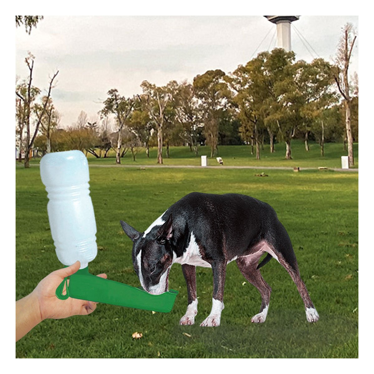 PACK2 ACCESORIO COMPACTO VERDE PARA MASCOTA EN PASEOS Y VIAJES - 2