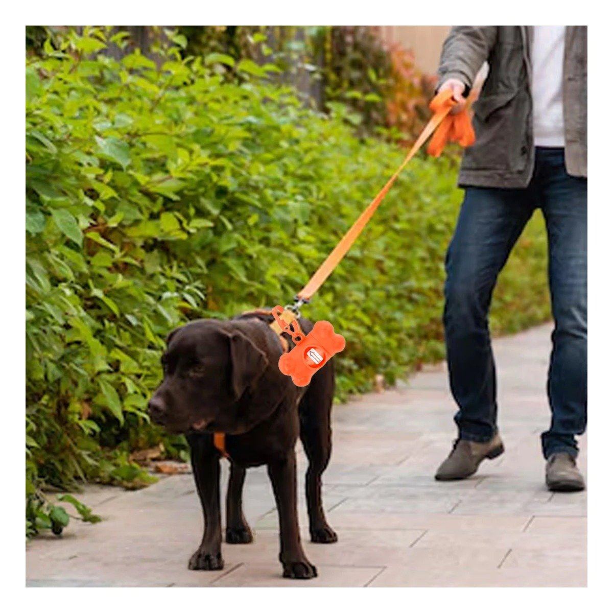 SOPORTE DE BOLSA CON PROTECTOR TIPO HUESO ANARANJADO PORTATIL Y+LIGAS REGALO - 1
