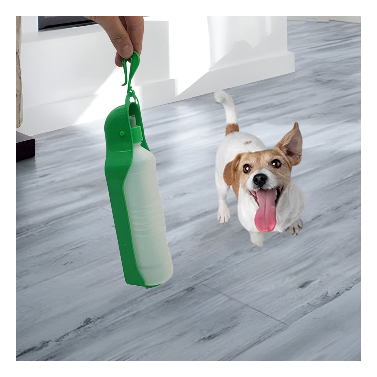 PACK2 CONTENEDOR COMPACTO VERDE PARA MASCOTA CON USO DIARIO EN EXTERIORES Y+REGALO STICKER - 3