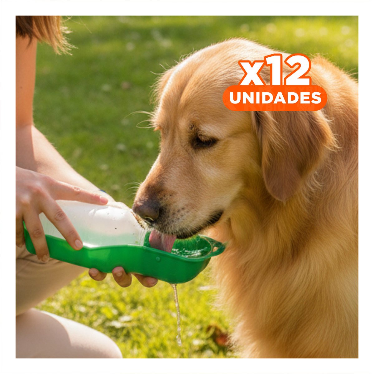 PACK12 COMPLEMENTO COMPACTO VERDE PARA PERRO CON SISTEMA SIMPLE PORTATIL - 1