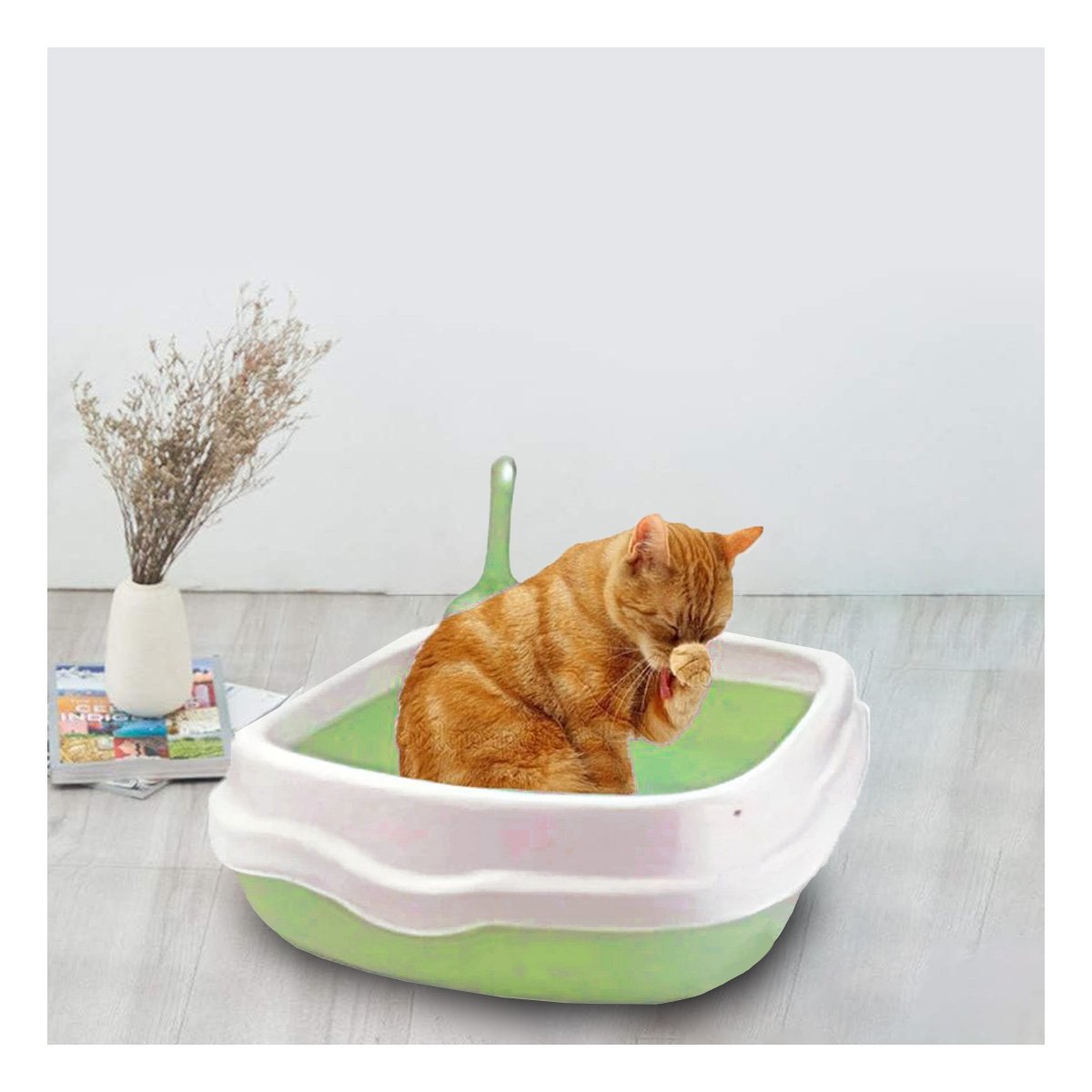 MODELO HIGIENICO PARA GATO ABIERTO CON PALA CERNIDORA VERDE 40X33X11 - 1