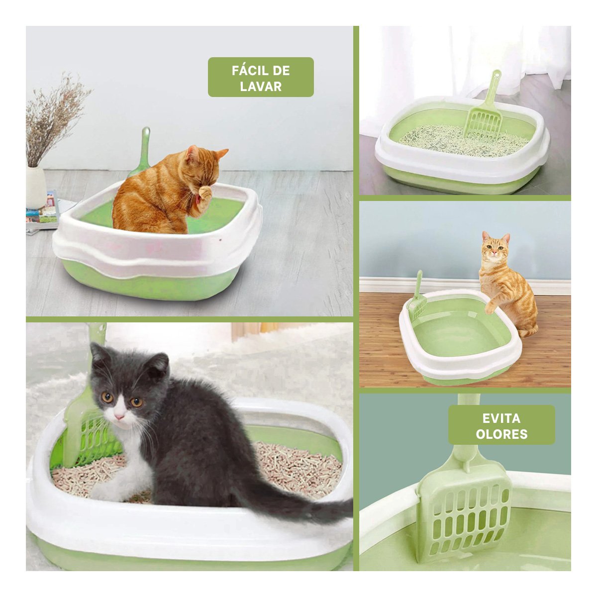 MODELO HIGIENICO PARA GATO ABIERTO CON PALA CERNIDORA VERDE 40X33X11 - 5