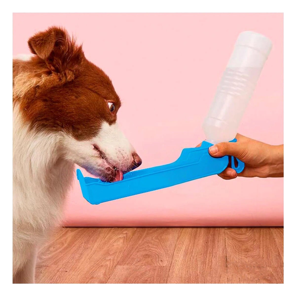 PACK6 RECIPIENTE COMPACTO CELESTE PARA PERRO CON DISPENSADOR INTEGRADO - 3