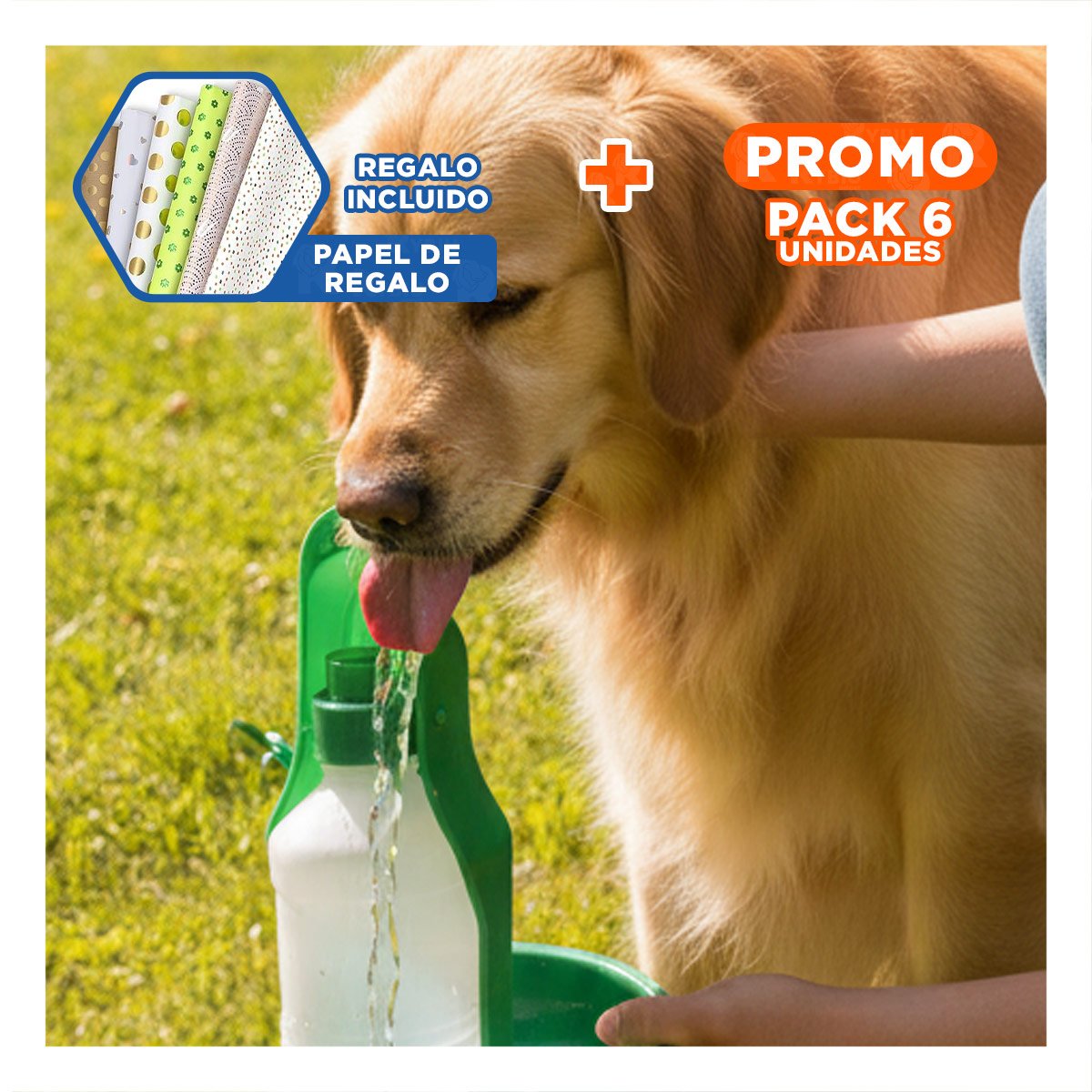 PACK6 OPCION COMPACTA VERDE PARA PERRO CON USO DIARIO Y PRACTICO Y+PAPEL REGALO - 1