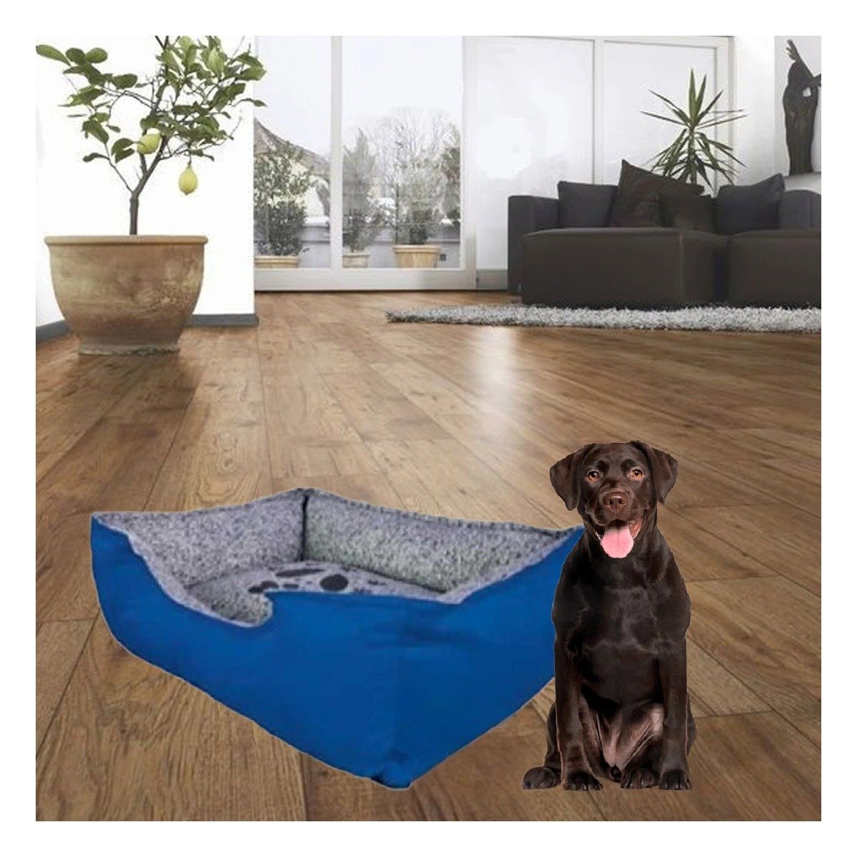 PACK2 COLCHONETA PARA PERRO BASE LIVIANA FACIL DE TRASLADAR TALLA L AZUL Y+REGALO STICKER - 3