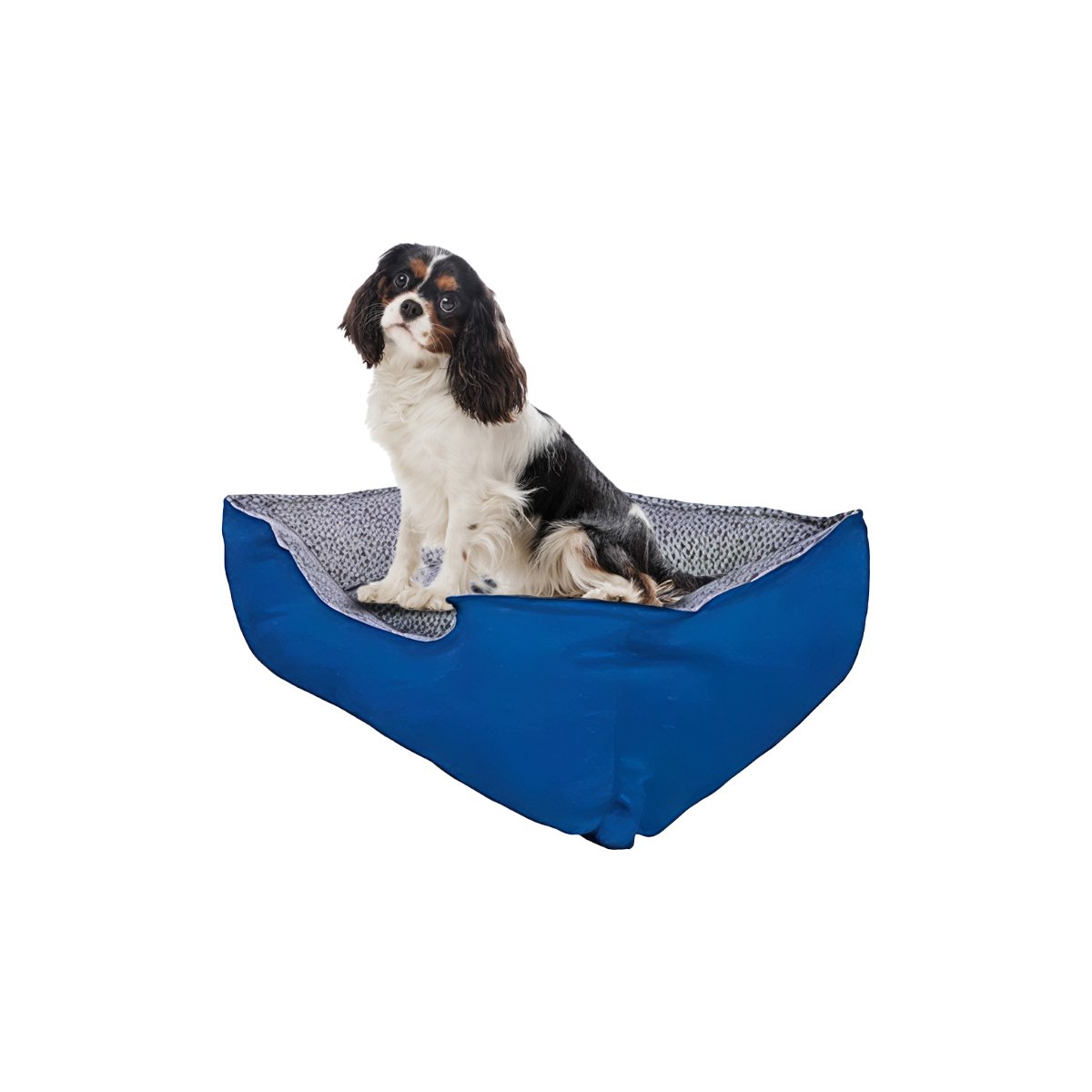 PACK6 ALFOMBRA ACOLCHADA PARA PERRO FACIL DE SACUDIR Y LIMPIAR TALLA L AZUL Y+REGALO STICKER - 2