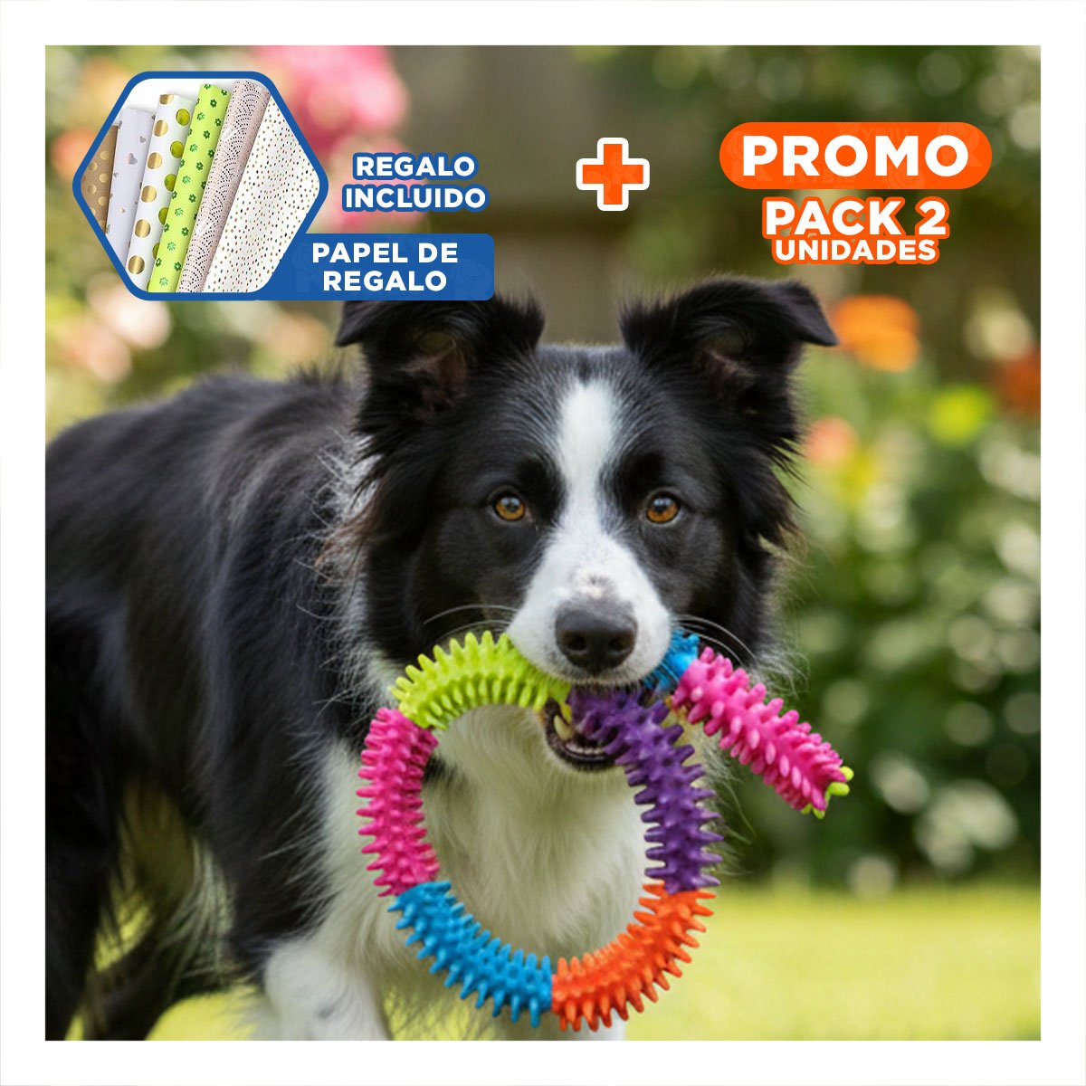 PACK2 ACCESORIO MODERNO PARA MASCOTAS DE JEBE PUNTEADO DE COLORES Y+PAPEL REGALO - 1