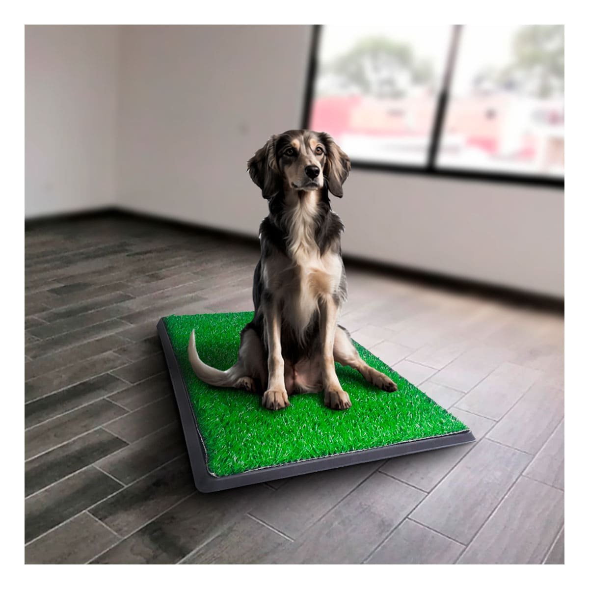 PACK6 ALTERNATIVA SANITARIA PARA PERROS MEDIANO NEGRO NACIONAL PARA CASA - 5