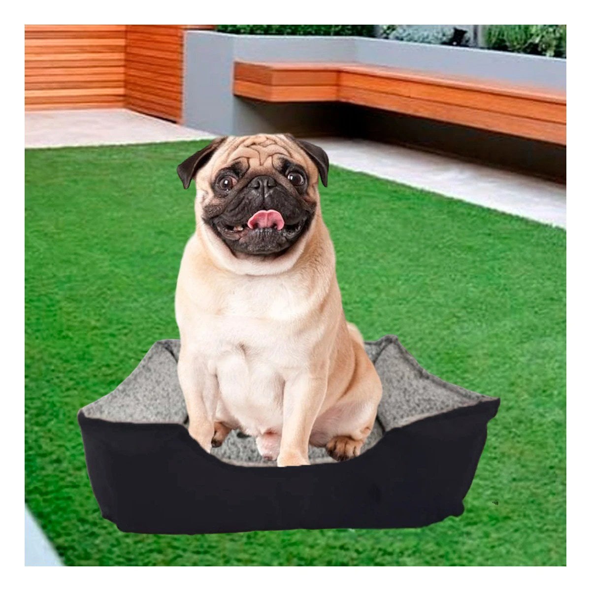 PACK2 COLCHONETA PARA PERRO CON ESPUMA FLEXIBLE Y LIGERA TALLA L NEGRO - 5