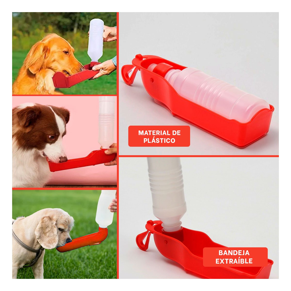 PACK4 CONTENEDOR COMPACTO ROJO PARA MASCOTA CON USO DIARIO EN EXTERIORES Y+REGALO STICKER - 2