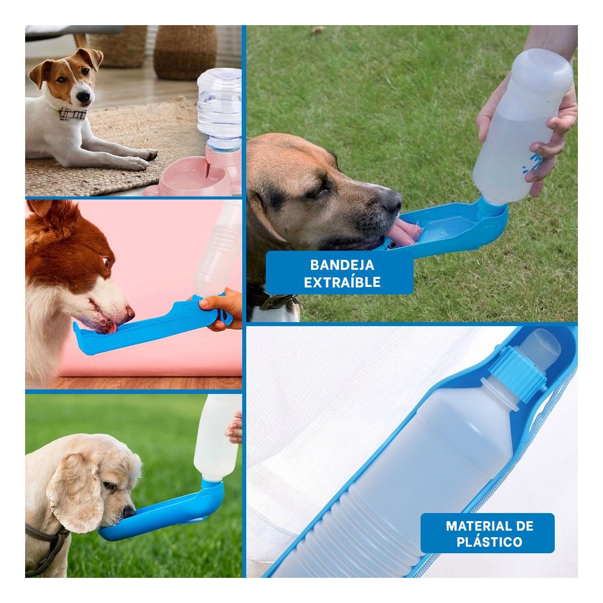 PACK4 CONTENEDOR COMPACTO CELESTE PARA MASCOTA CON USO DIARIO EN EXTERIORES Y+REGALO STICKER - 2