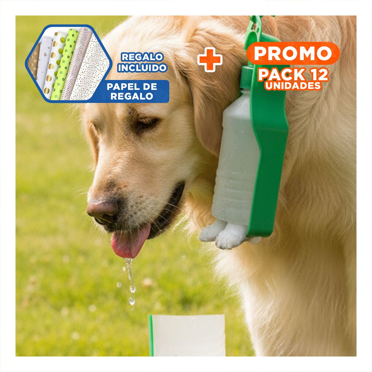 PACK12 SISTEMA COMPACTO VERDE PARA MASCOTA CON FUNCION PRACTICA Y TRANSPORTE Y+PAPEL REGALO - 1