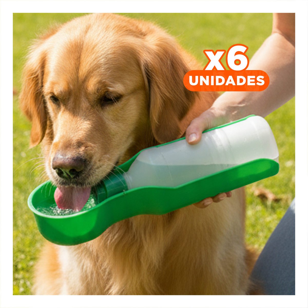 PACK6 KIT COMPACTO VERDE PARA MASCOTA CON DISPENSADOR INTEGRADO SEGURO Y+REGALO STICKER - 1
