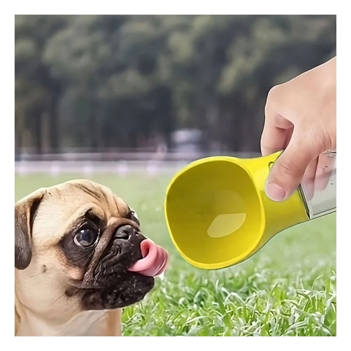 PACK2 ENVASE PORTATIL 4 EN 1 DISPENSADOR CON BOLSITA AMARILLO MEDIANO Y+REGALO STICKER - 5