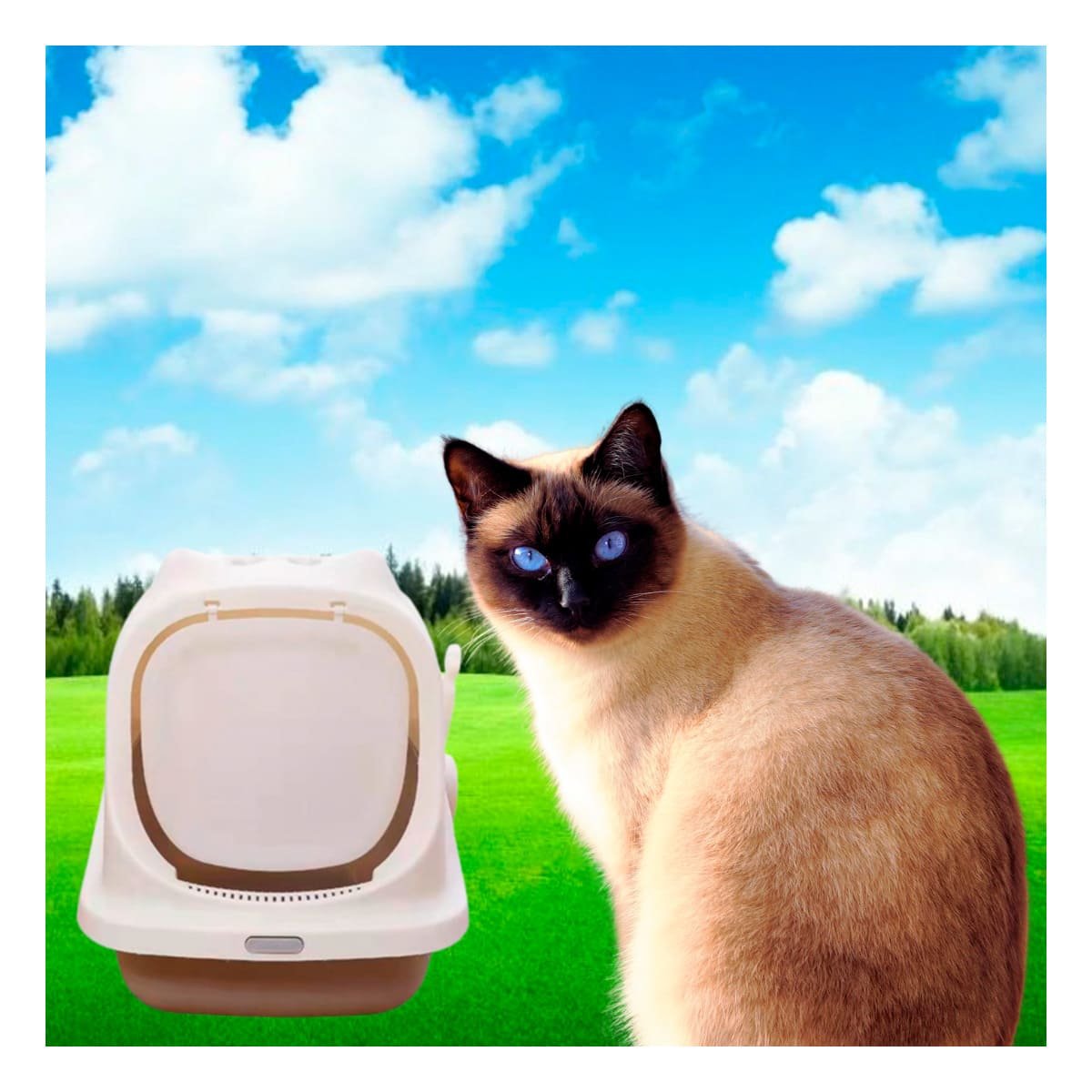 PACK4 BANDEJA SANITARIA CERRADA CON OREJITAS DE GATO MARRON PARA CASA Y+REGALO STICKER - 3