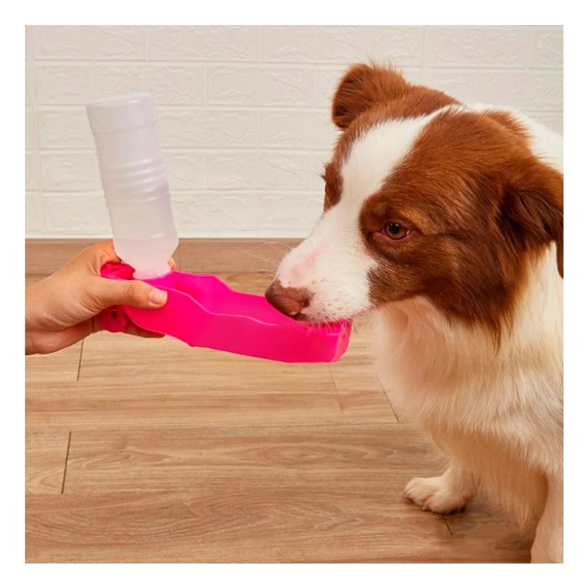 PACK6 SOLUCION COMPACTA ROSADA PARA MASCOTA EN VIAJES Y PASEOS - 3