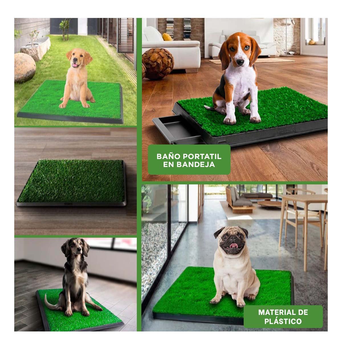 PACK6 ESPACIO PRACTICO PARA PERROS MEDIANO NEGRO NACIONAL PARA INTERIOR Y+PAPEL REGALO - 3