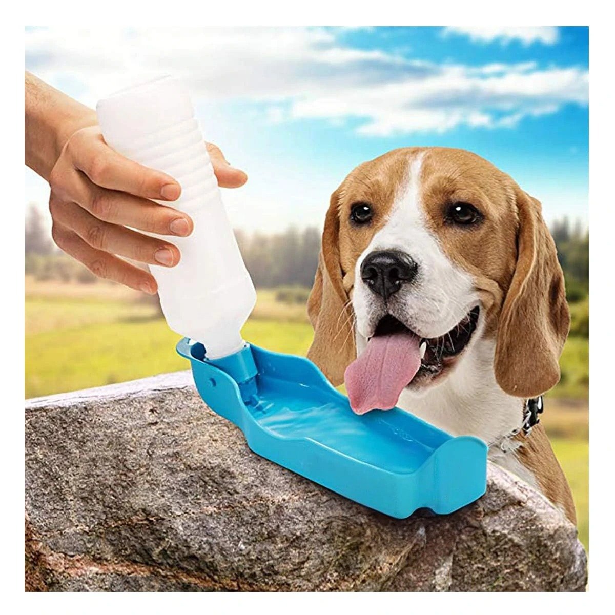 PACK4 ACCESORIO COMPACTO CELESTE PARA MASCOTA EN PASEOS Y VIAJES - 3