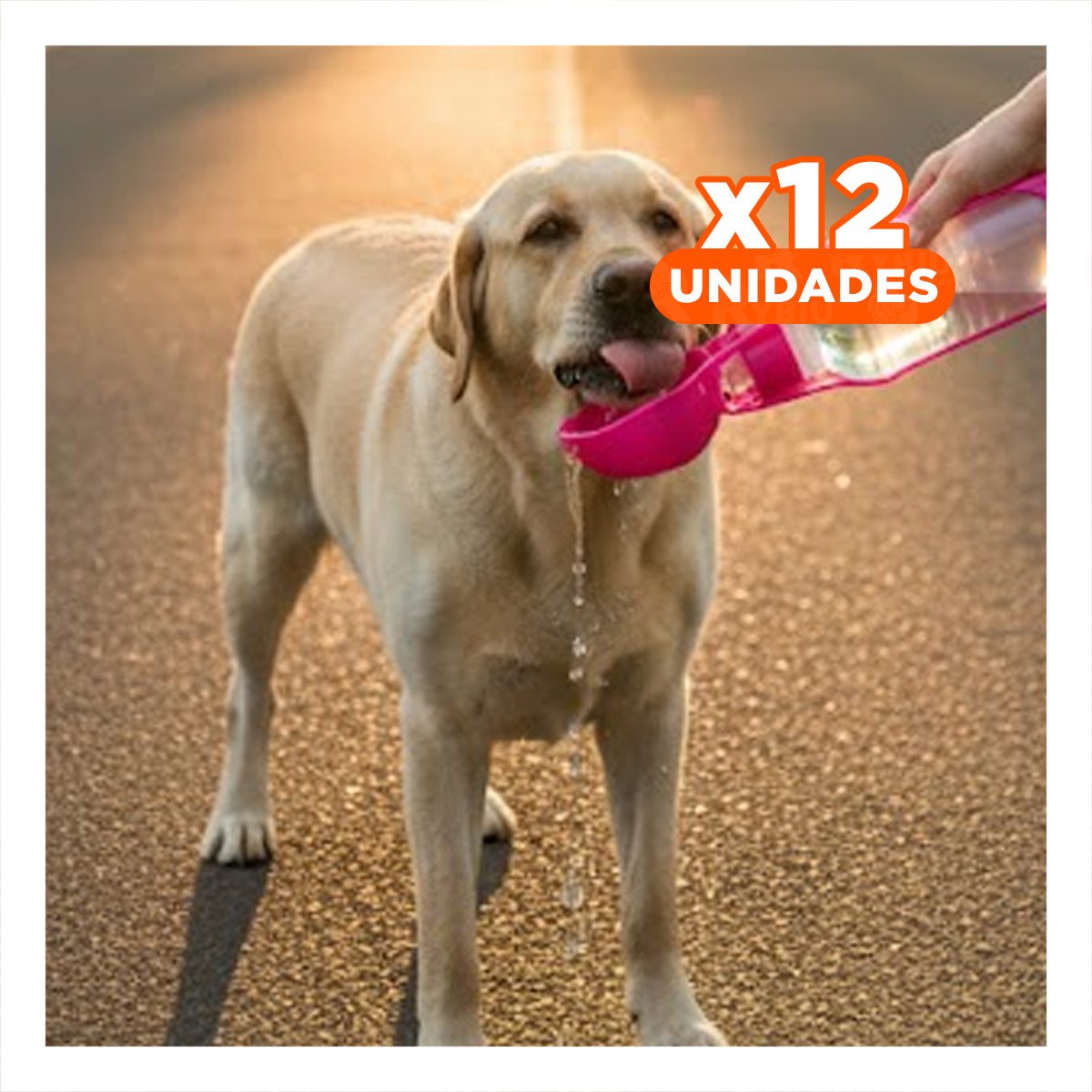 PACK12 COMPLEMENTO COMPACTO ROSADO PARA PERRO CON SISTEMA SIMPLE PORTATIL - 1