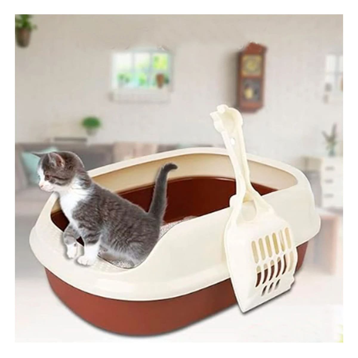PACK4 ESTACION MARRON PARA GATO CON LADOS MEDIOS ALTOS MAS PALA CERNIDORA - 2