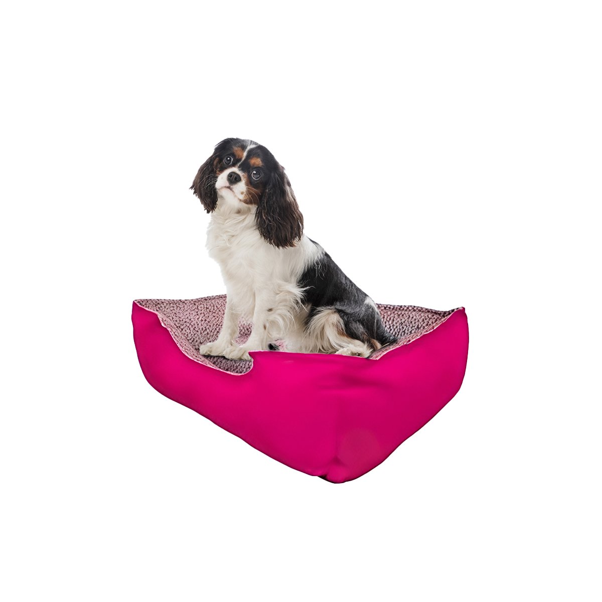PACK6 COLCHON PARA MASCOTA BASE DURABLE PARA USO CONTINUO TALLA L FUCSIA Y+REGALO STICKER - 2
