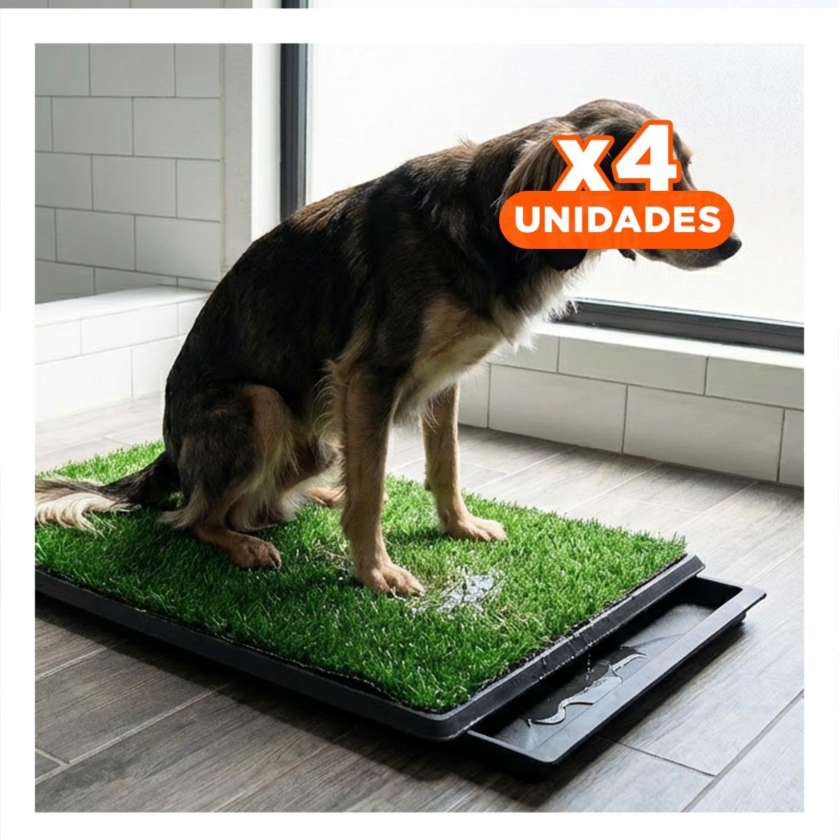 PACK4 MODELO HIGIENICO PARA PERROS MEDIANO NEGRO NACIONAL PARA CASA - 1