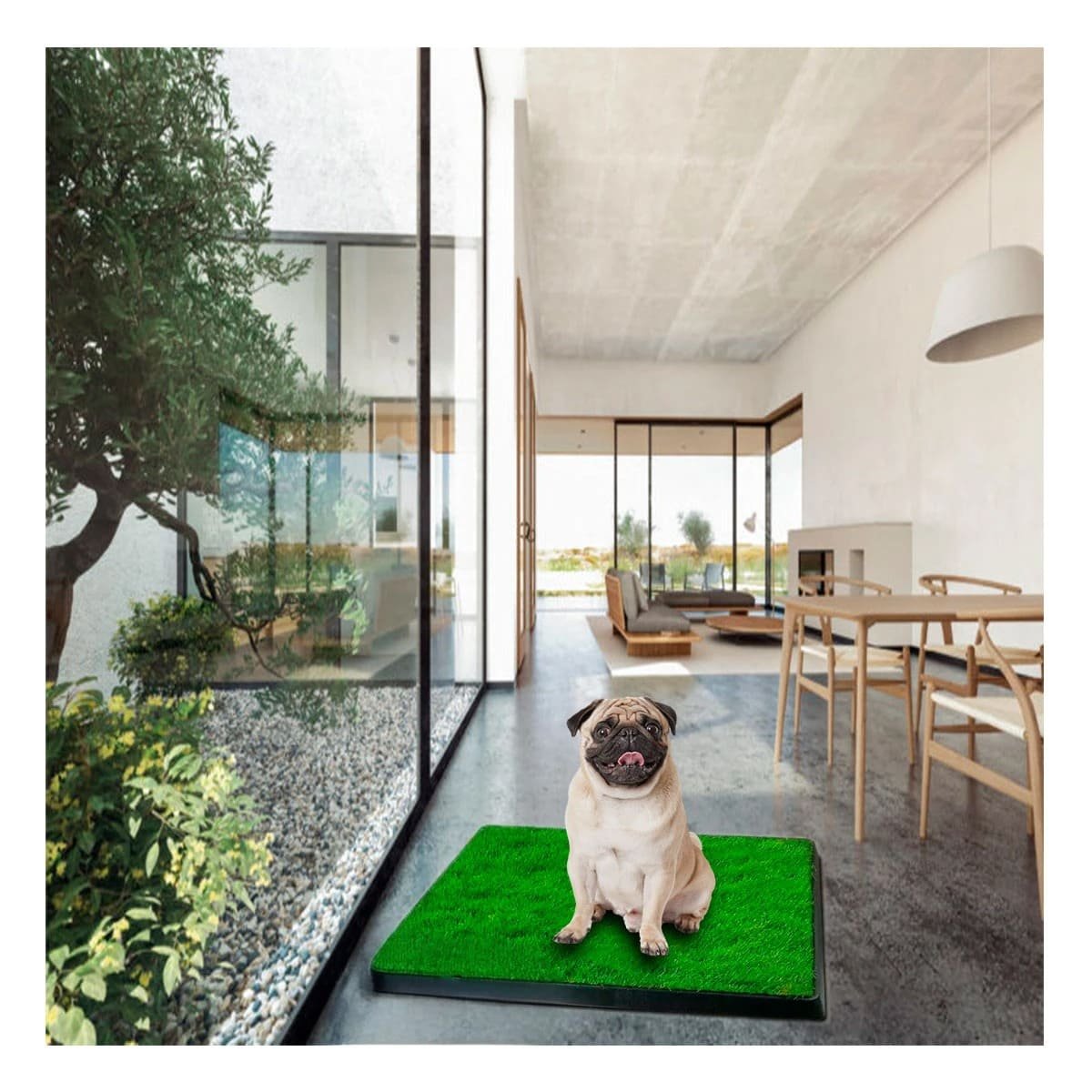 PACK4 MODELO HIGIENICO PARA PERROS MEDIANO NEGRO NACIONAL PARA CASA - 2