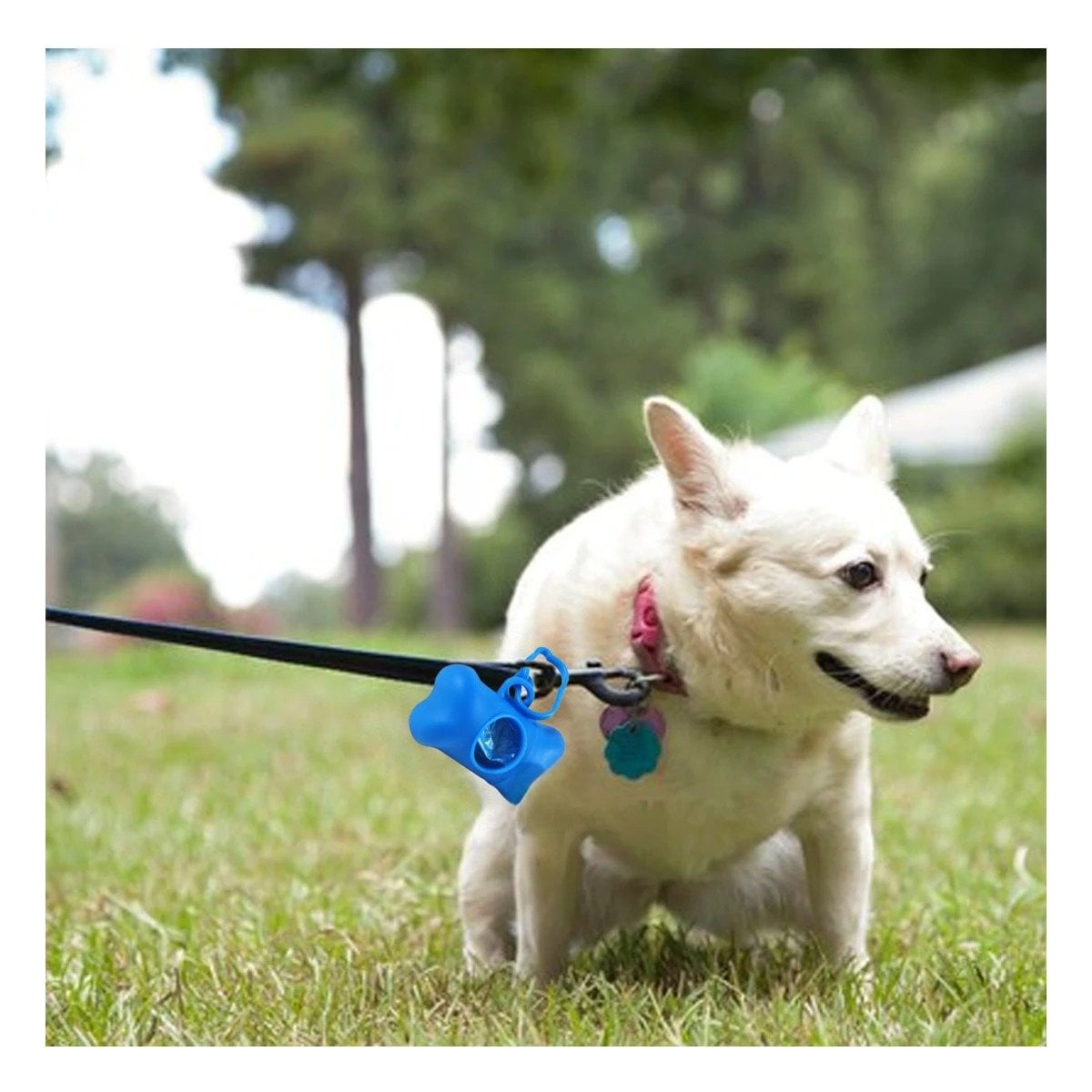 ACCESORIO DE LIMPIEZA CON PROTECTOR TIPO HUESO AZUL PARA PERRO Y+PAPEL REGALO - 3