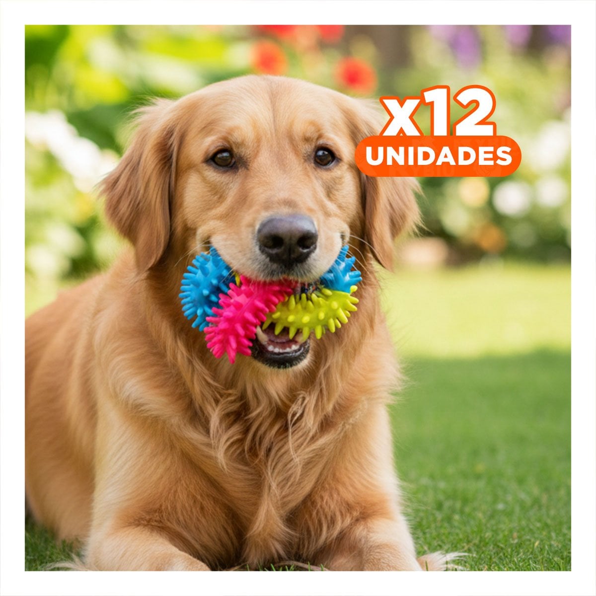 PACK12 PARA PERROS JUGUETE RECREATIVO JEBE PUNTEADO DE COLORES SURTIDOS - 1