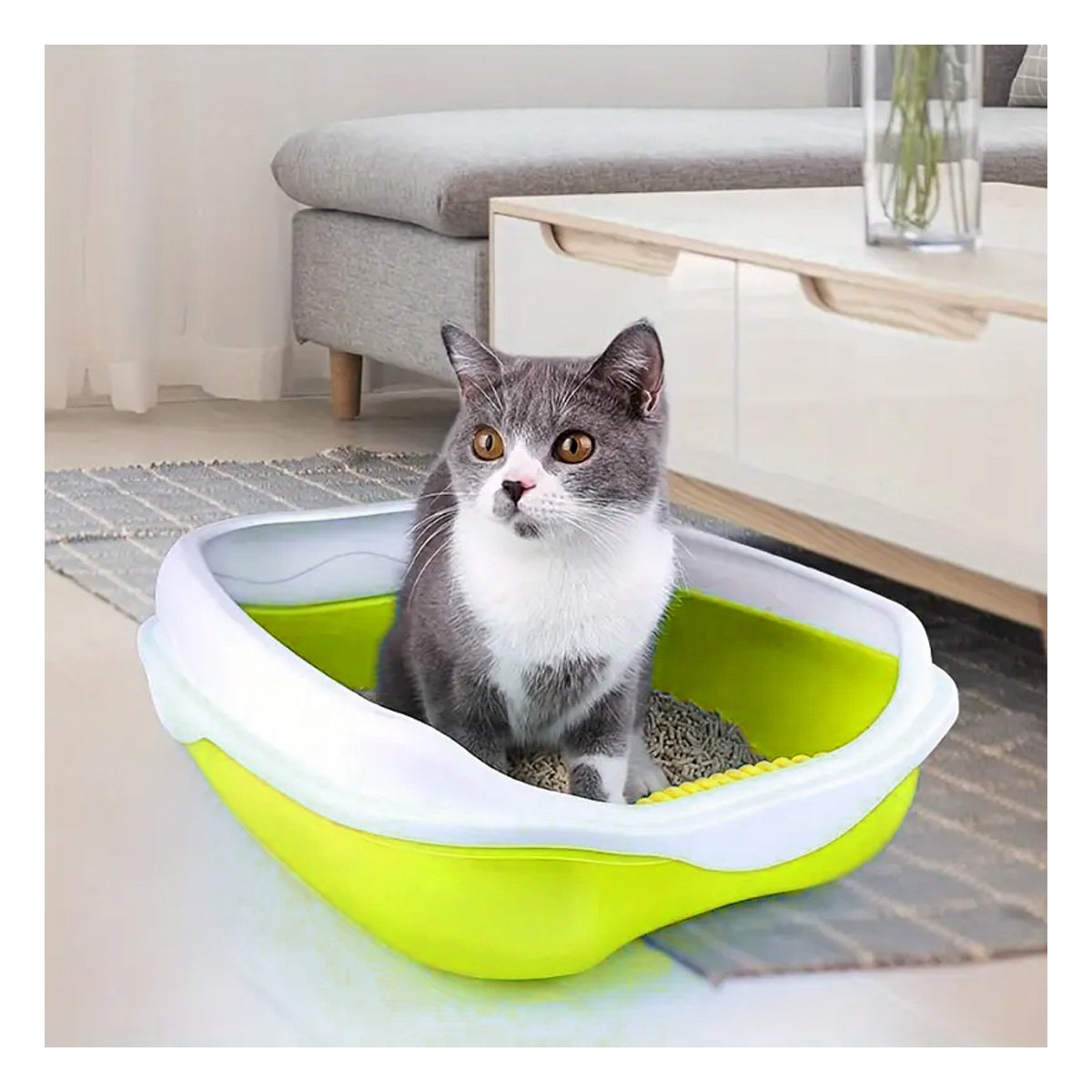 PACK2 RECIPIENTE VERDE PARA GATO CON LADOS MEDIOS ALTOS MAS PALA CERNIDORA Y+PAPEL REGALO - 5