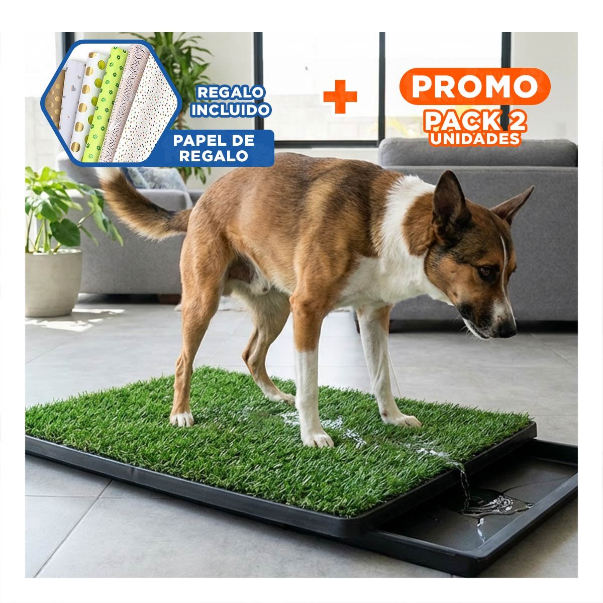 PACK2 PRESENTACION HIGIENICA PARA PERROS MEDIANO NEGRO NACIONAL PARA INTERIOR Y+PAPEL REGALO - 1