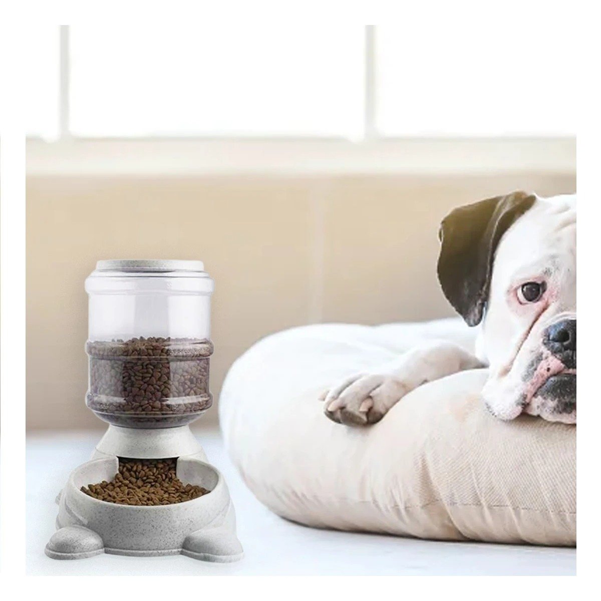 PACK6 FUENTE PRACTICA PARA PERRO CIRCULAR CON BIDON DE PLASTICO PLOMO - 3
