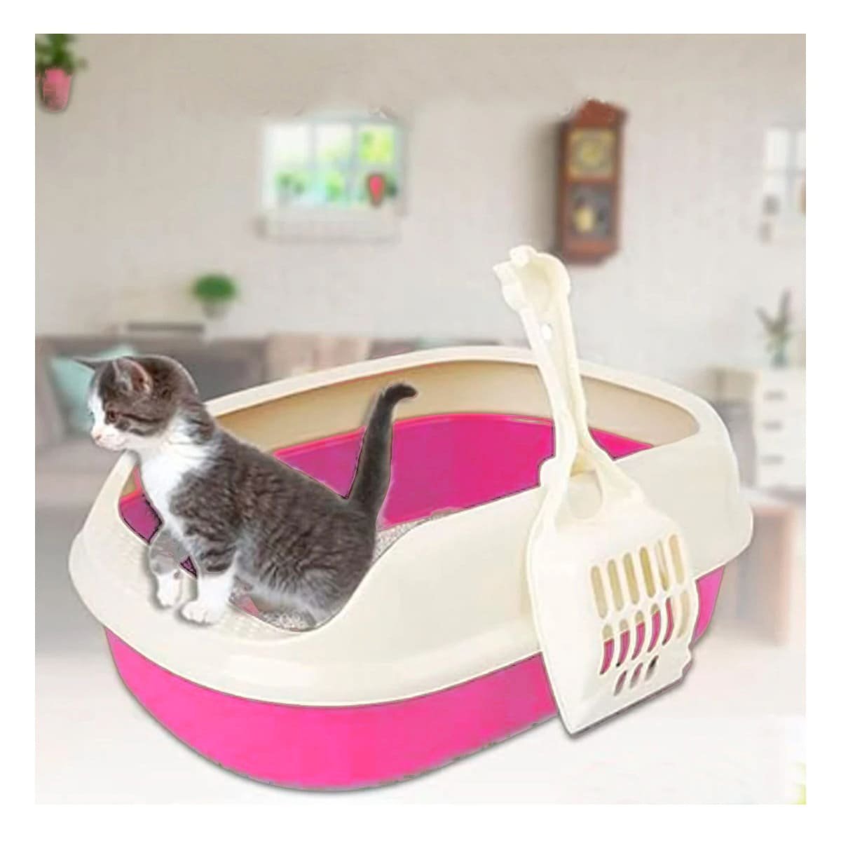PACK6 AREA ROSADO PARA GATO CON LADOS MEDIOS ALTOS MAS PALA CERNIDORA Y+PAPEL REGALO - 2