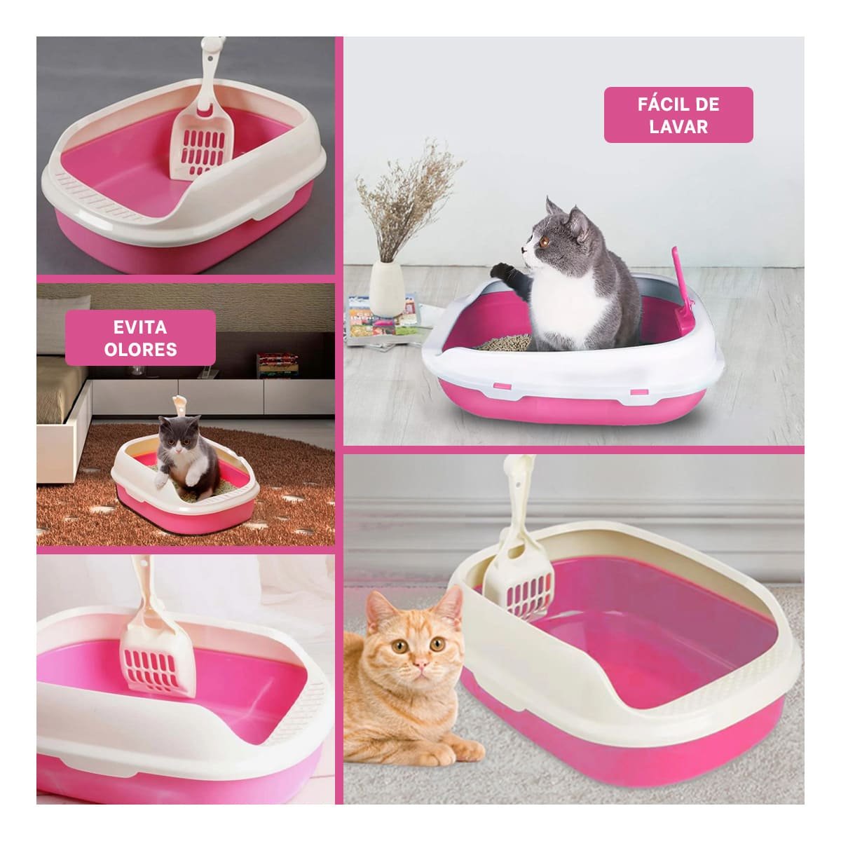 PACK6 AREA ROSADO PARA GATO CON LADOS MEDIOS ALTOS MAS PALA CERNIDORA Y+PAPEL REGALO - 3