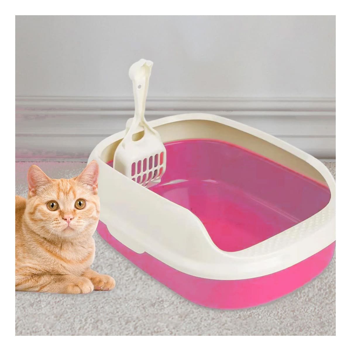 PACK6 AREA ROSADO PARA GATO CON LADOS MEDIOS ALTOS MAS PALA CERNIDORA Y+PAPEL REGALO - 5