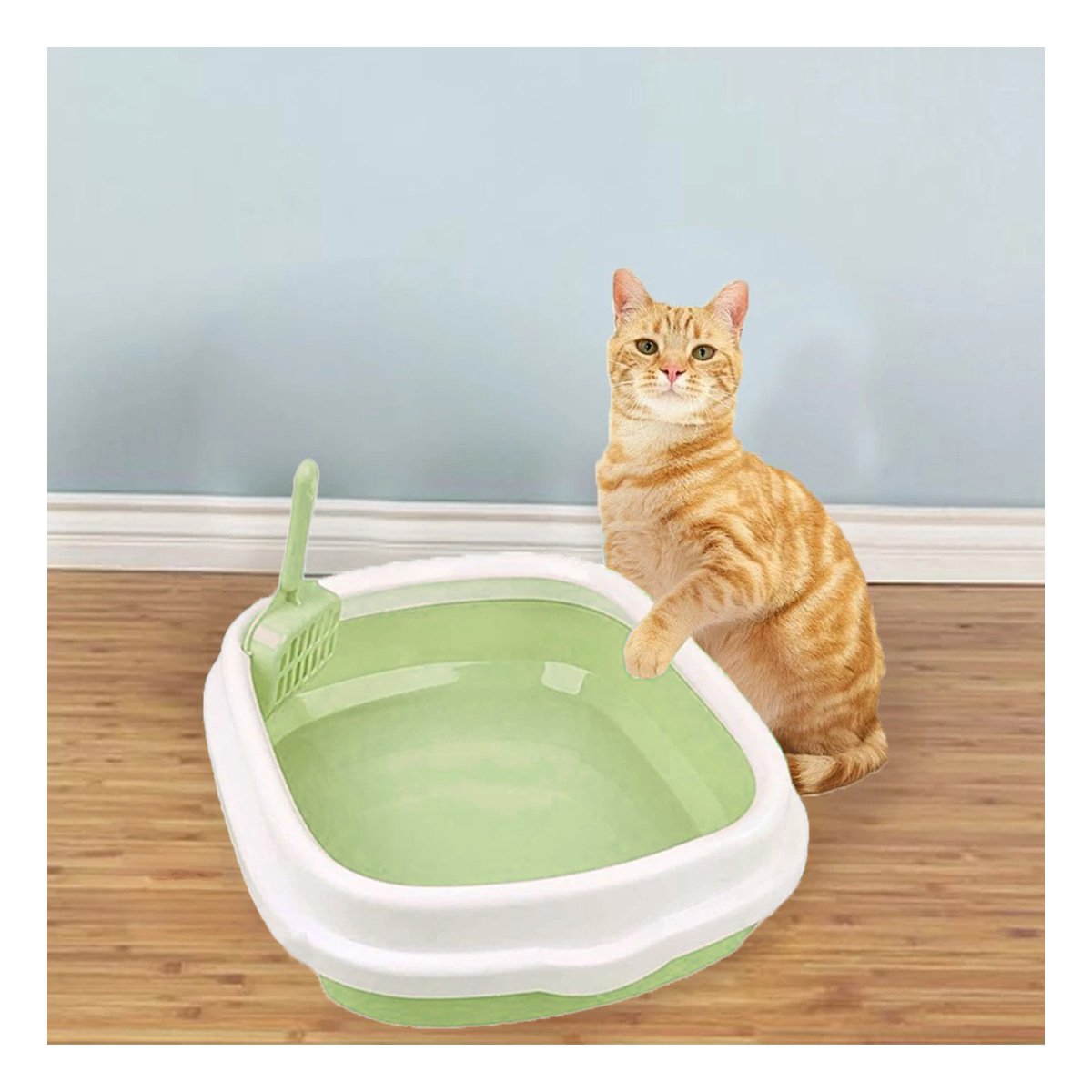 PACK4 ESTACION VERDE PARA GATO CON PALA CERNIDORA 40X33X11 - 3