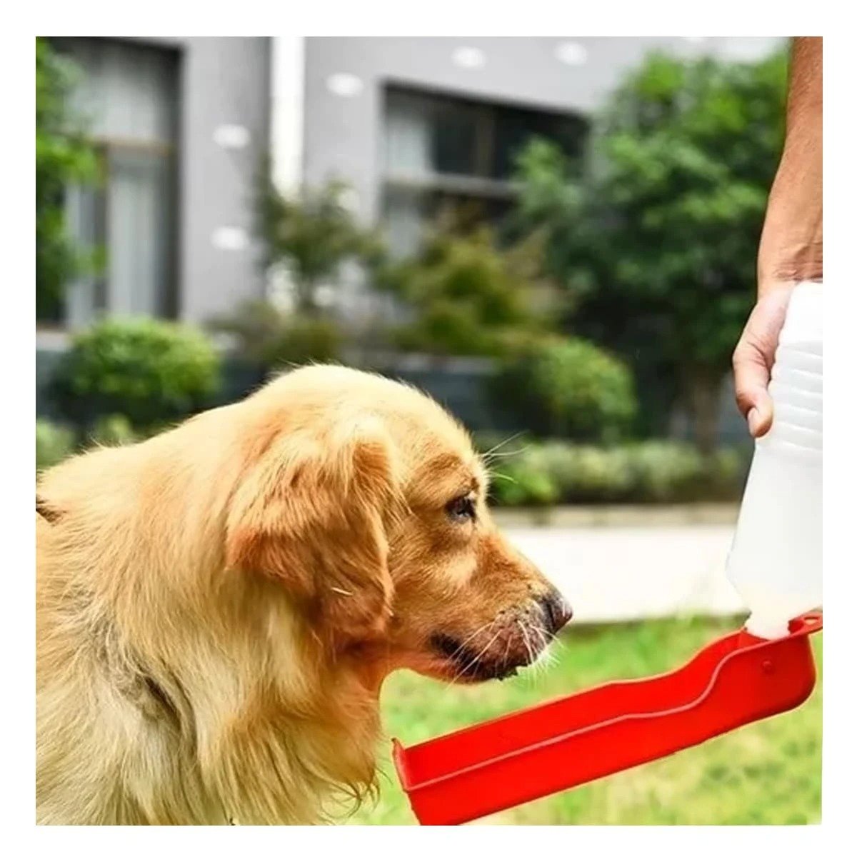 PACK4 BOTELLA COMPACTA ROJA PARA PERRO CON SISTEMA PRACTICO Y SEGURO Y+PAPEL REGALO - 5