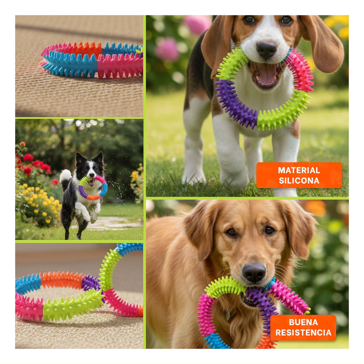 PACK12 JUGUETE PARA MASCOTAS ACTIVAS DE JEBE PUNTEADO DE COLORES Y+PAPEL REGALO - 2