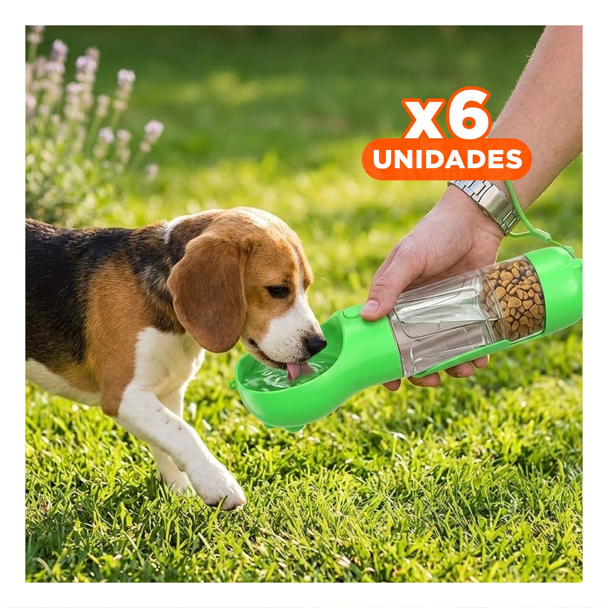 PACK6 EQUIPO 4 EN 1 DISPENSADOR CON BOLSITA VERDE MEDIANO RESISTENTE Y+REGALO STICKER - 1