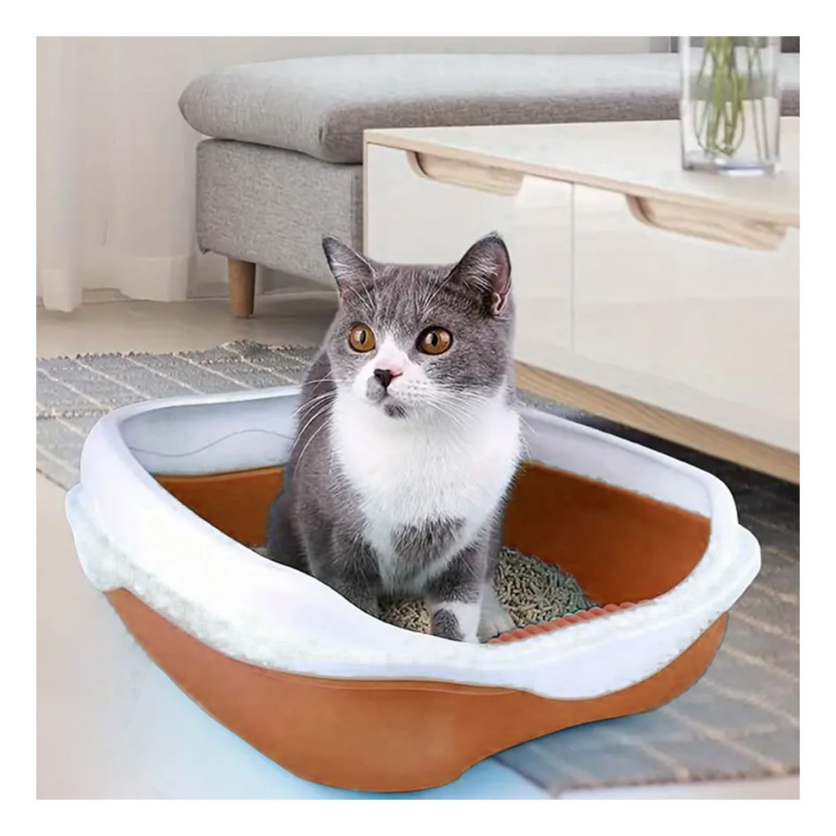 PACK2 BANDEJA MARRON PARA GATO CON LADOS MEDIOS ALTOS MAS PALA CERNIDORA - 5