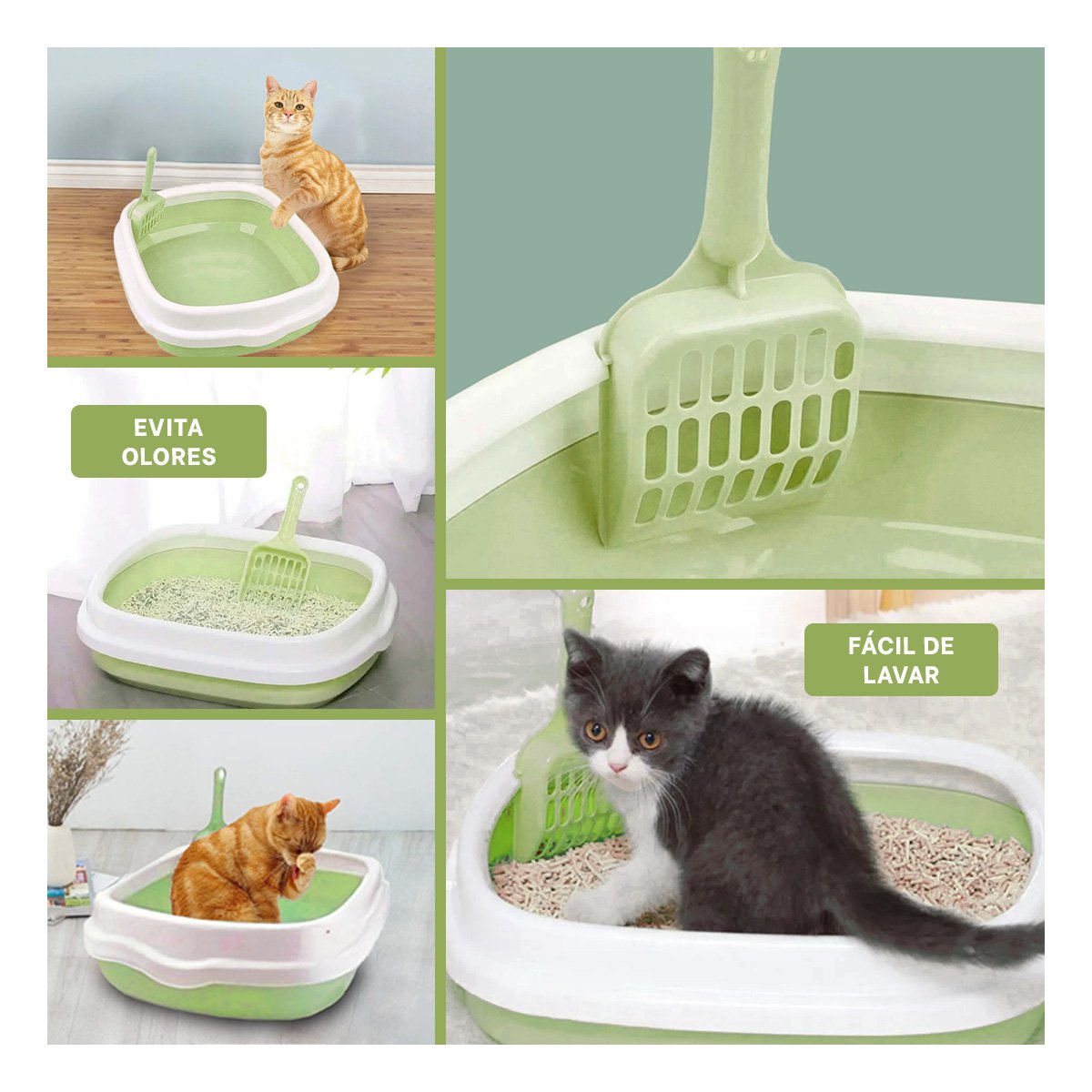 PACK2 RECIPIENTE VERDE PARA GATO CON PALA CERNIDORA 40X33X11 Y+PAPEL REGALO - 3