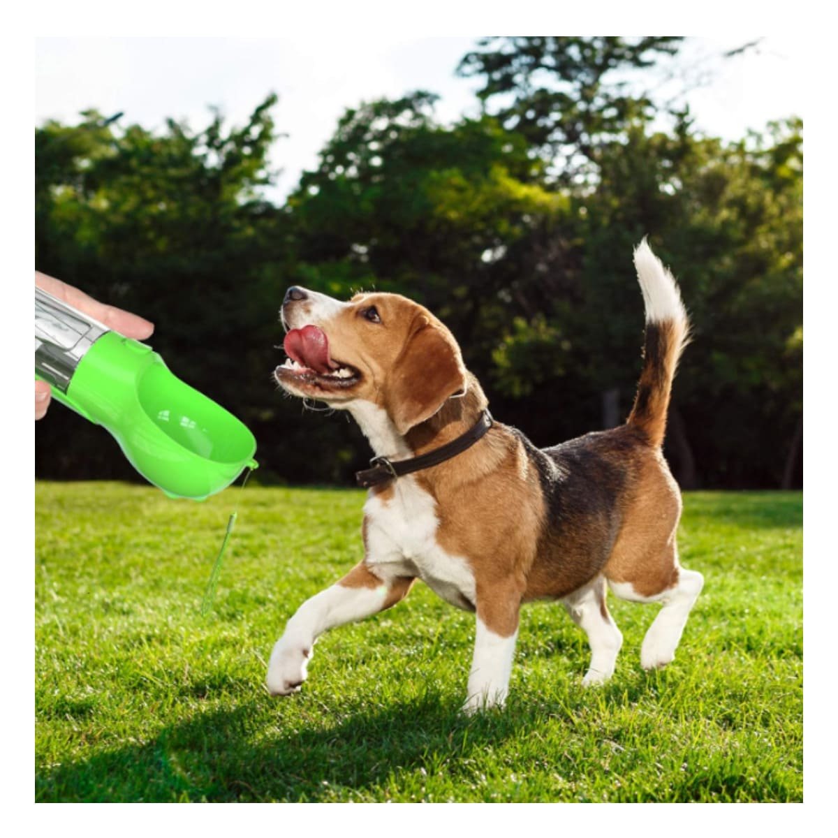 BIDON 4 EN 1 DISPENSADOR CON BOLSITA VERDE MEDIANO PRACTICO Y+LIGAS REGALO - 1