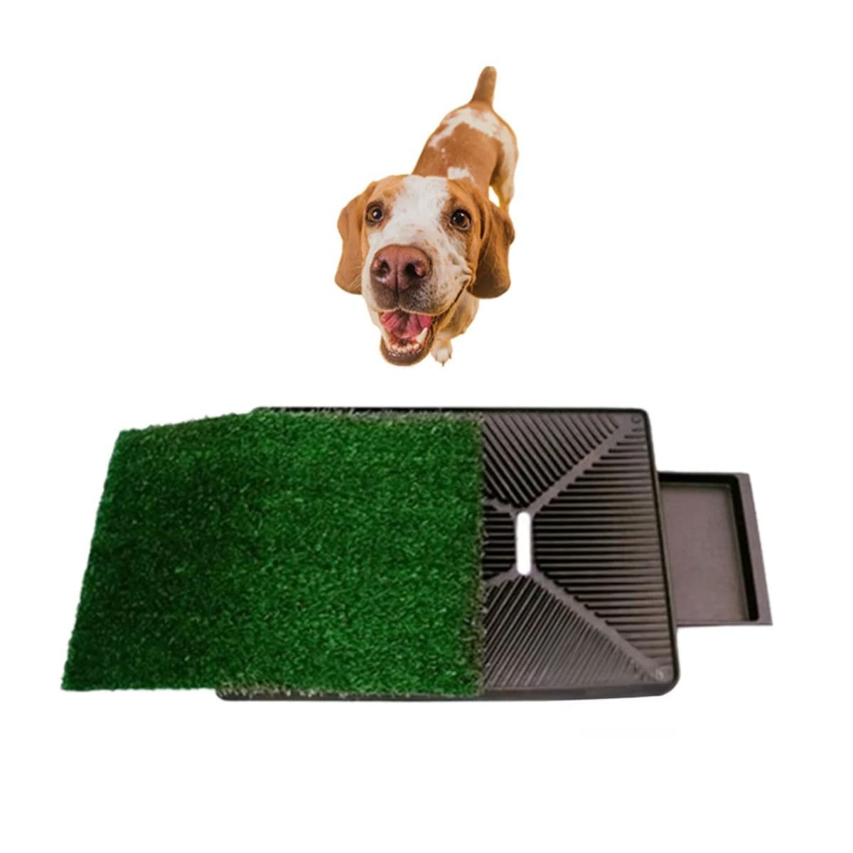 PACK6 ZONA PRACTICA PARA PERROS MEDIANO NEGRO NACIONAL PARA HOGAR Y+REGALO STICKER - 2