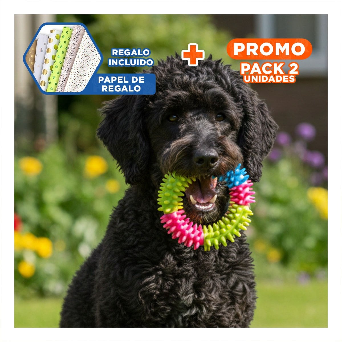PACK2 JUGUETE DURADERO PARA MASCOTAS JEBE PUNTEADO DE COLORES SURTIDOS Y+PAPEL REGALO - 1