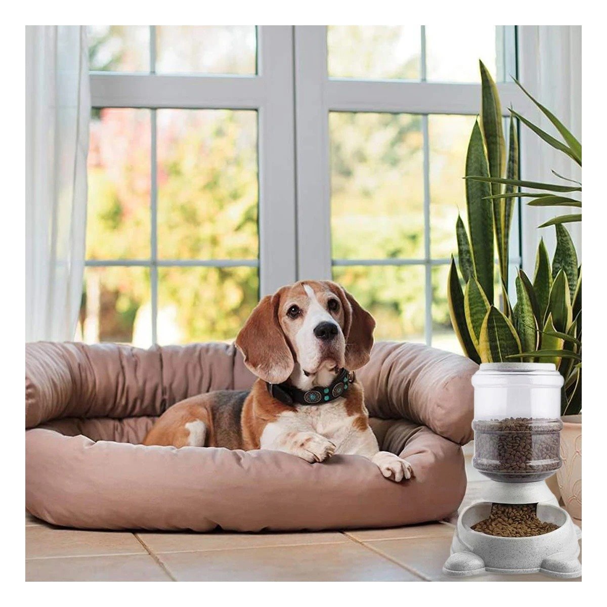 PACK6 BASE PRACTICA PARA PERRO CIRCULAR CON BIDON DE PLASTICO PLOMO Y+REGALO STICKER - 5