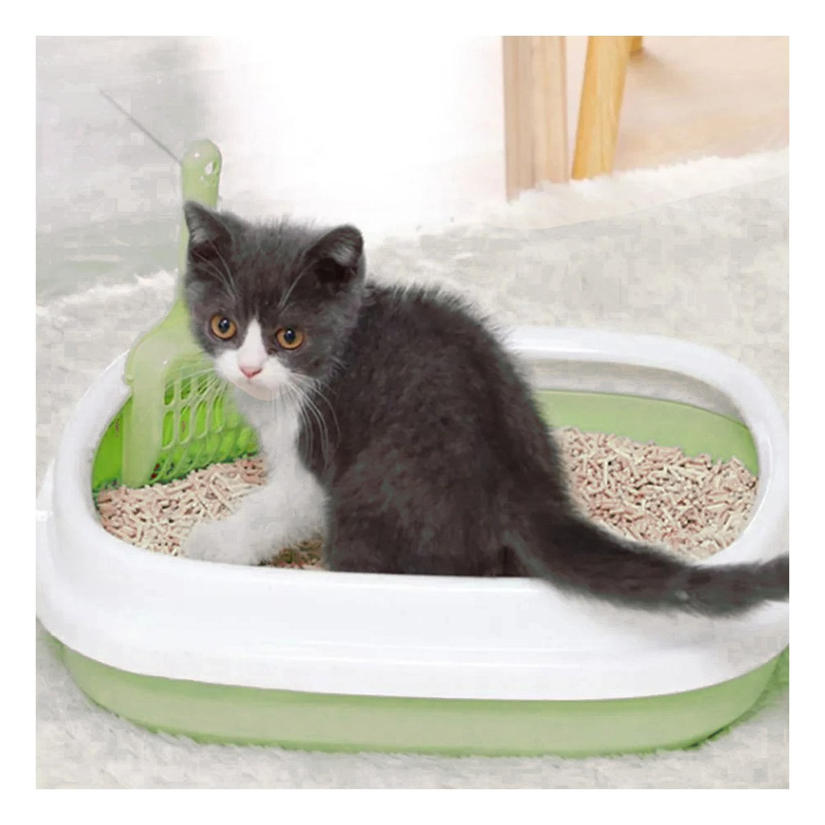 PACK12 BASE VERDE PARA GATO CON PALA CERNIDORA 40X33X11 Y+PAPEL REGALO - 3