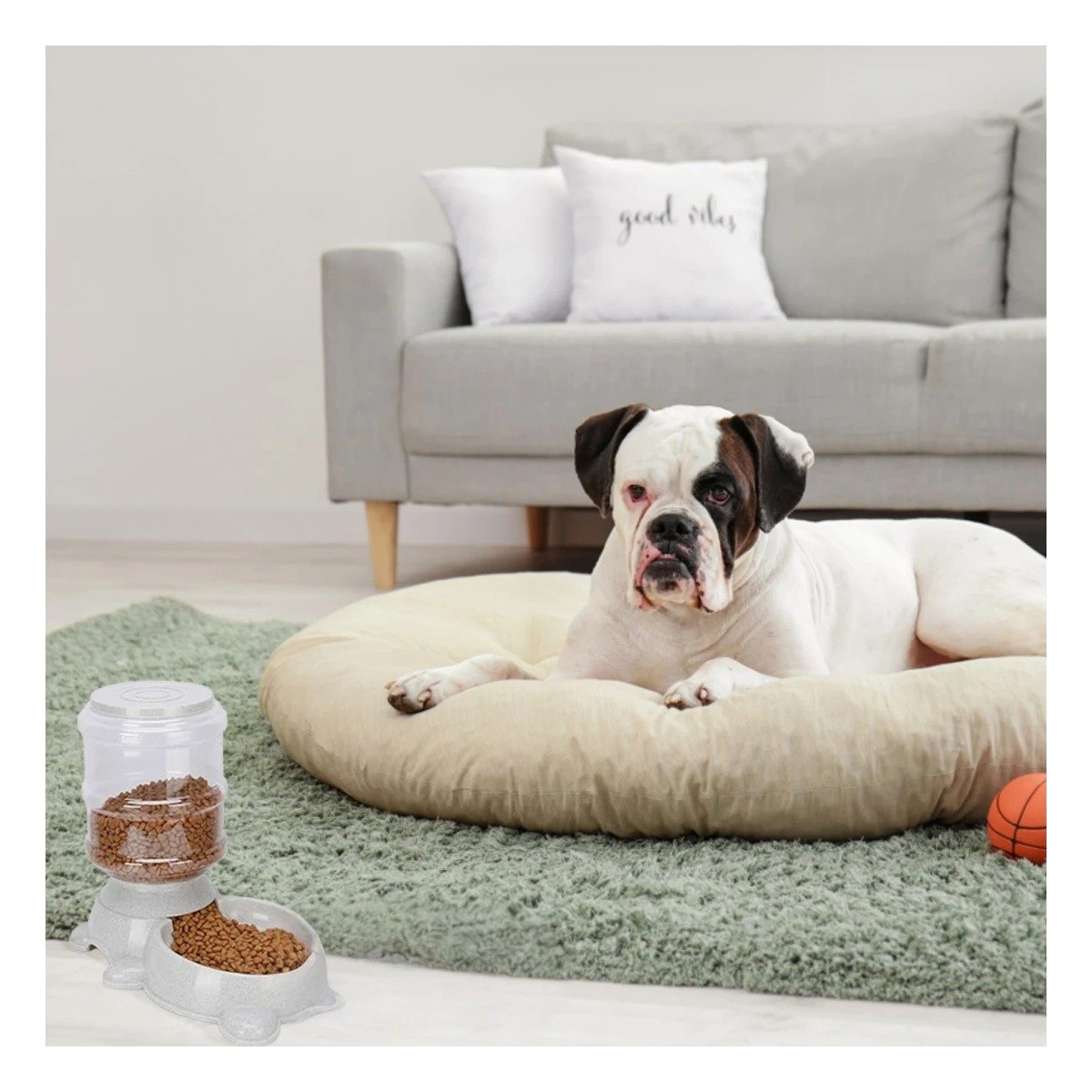 PACK2 SISTEMA PRACTICO PARA PERRO CIRCULAR CON BIDON DE PLASTICO PLOMO - 5