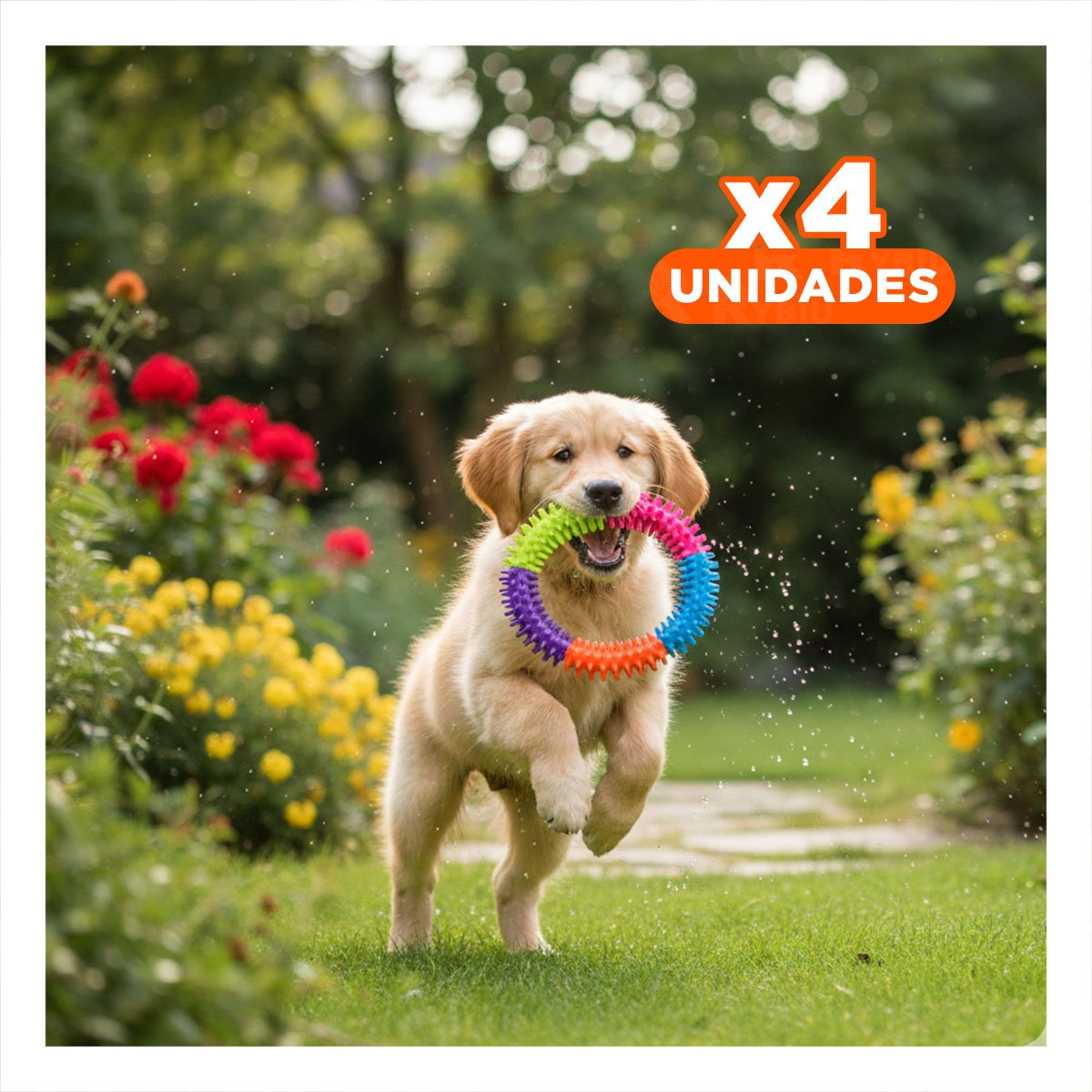 PACK4 ACCESORIO PARA JUEGO INTERACTIVO DE JEBE PUNTEADO DE COLORES - 1